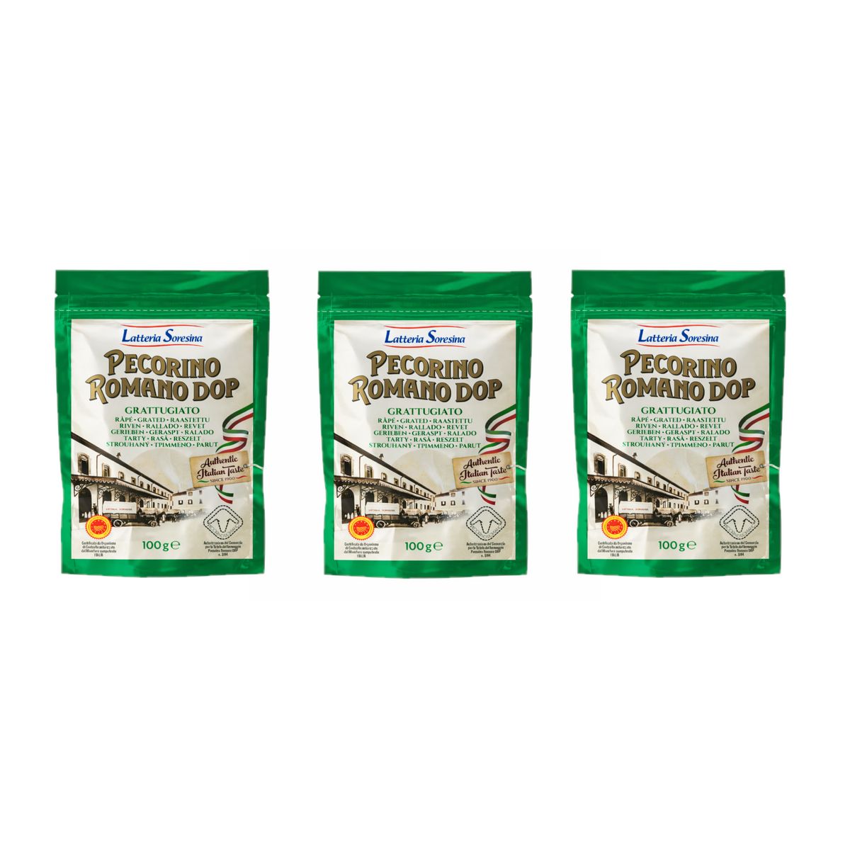 Latteria Soresina Pecorino Romano DOP Grated 100g - 3 Pieces