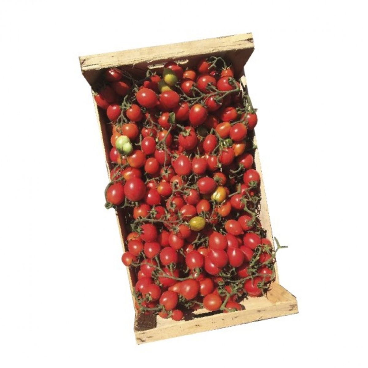 Ferrara Azienda agricola Pomodorino del Piennolo del Vesuvio DOP confezionato in platò di legno 5 Kg.