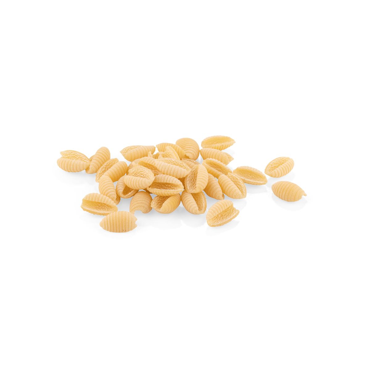 La Fabbrica della Pasta di Gragnano "Gnocchetti Rigati" Pasta di Gragnano IGP 500 Gr.