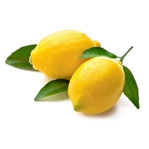 Primofiore-Blatt-Zitrone 1 kg