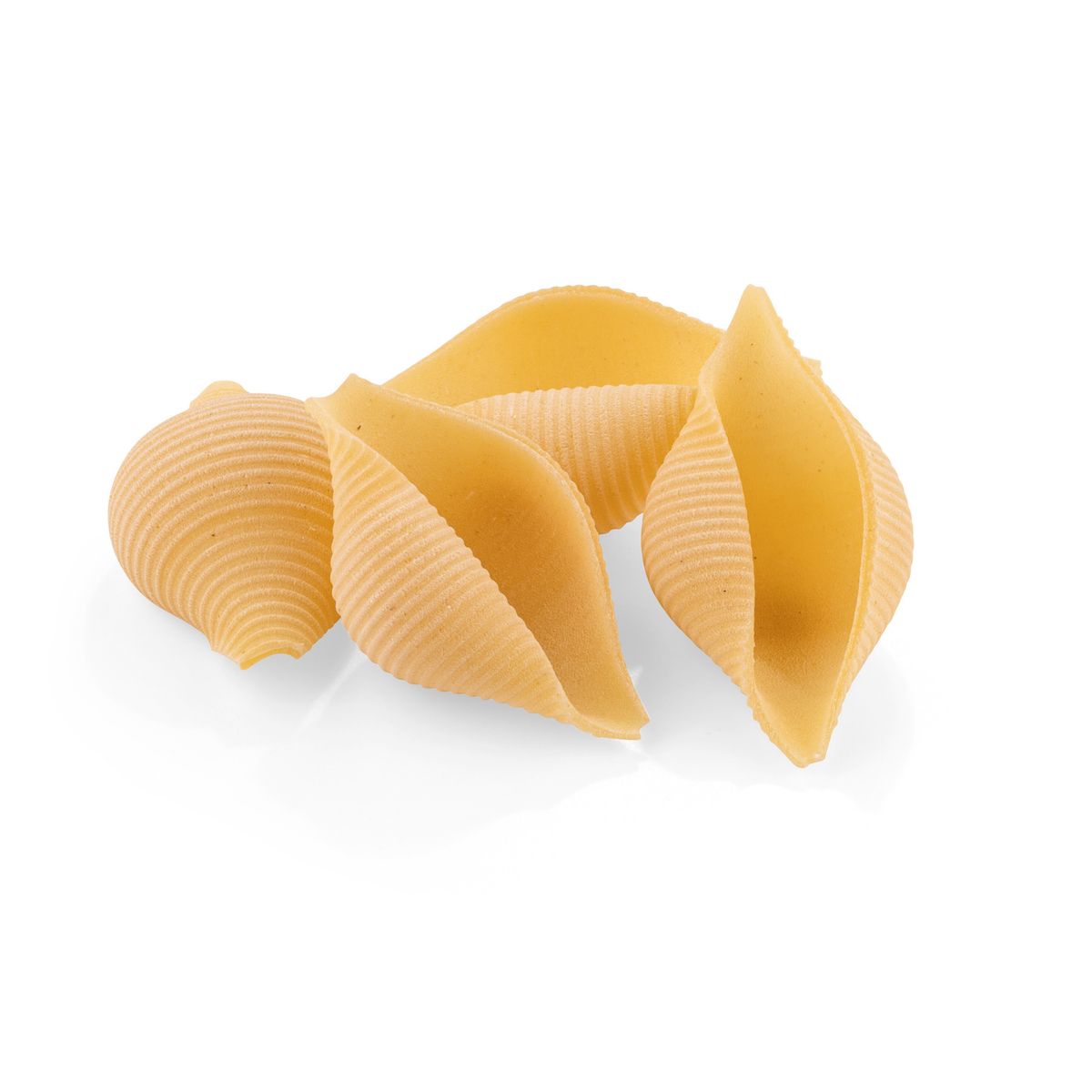 La Fabbrica della Pasta di Gragnano "Conchiglioni Giganti" Pasta di Gragnano IGP 500 Gr.