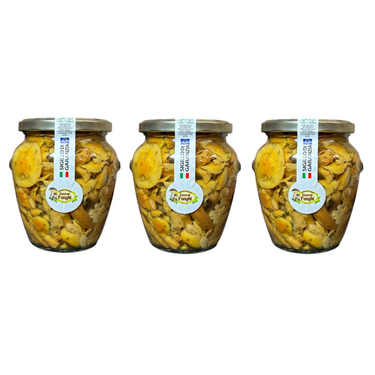 Central Funghi Honey Mushrooms in Oil 580ml - 3 pieces