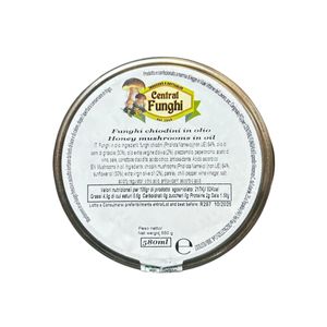 Central Funghi Honey Mushrooms in Oil 580 ml – Italian Preserved Mushrooms Ready to Eat_1