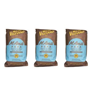 Molino Vigevano M Ama Pura Pasta Madre per Salati Senza Lievito 1 Kg_0