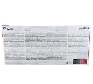 Villa Guelfa Weihnachtskorb “Aida” – 11 Artikel | Italienischer Geschenkkorb mit Wein, Panettone & Süßigkeiten_1