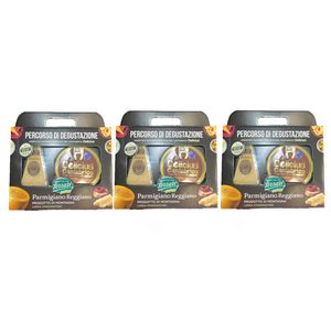 Ferrari Parmigiano Reggiano Madurado Más de 36 Meses 400 g con Filetes de Anchoas del Cantábrico Delicius 90 g – Set Gourmet Italiano_0