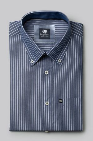 Camicia Uomo Manica Lunga in 100% Cotone di Ascot Sport Art. Mediterraneo_desktop_3