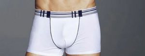 Boxer Uomo Brio Art. Efisio