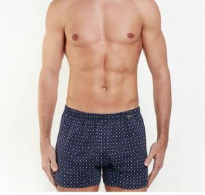 Nottingham boxer filo di scozia B416S_desktop_2