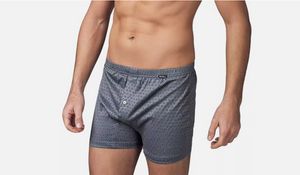 Nottingham boxer filo di scozia B416S_desktop_3