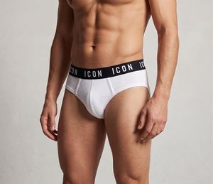 3 Pack Slip Uomo ICON Underwear_0