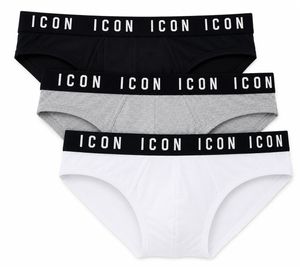 3 Pack Slip Uomo ICON Underwear_1