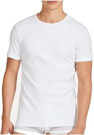  2 t-Shirt Intime Ragno Uomo Cotone Manica Corta Girocollo  Articolo 601417_desktop_2
